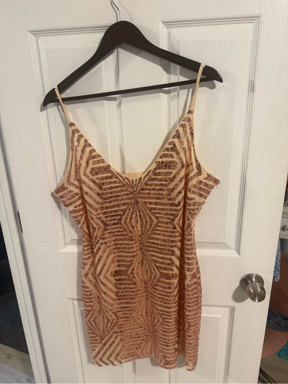 Sequin Embellished Nude Pink Slip Dress